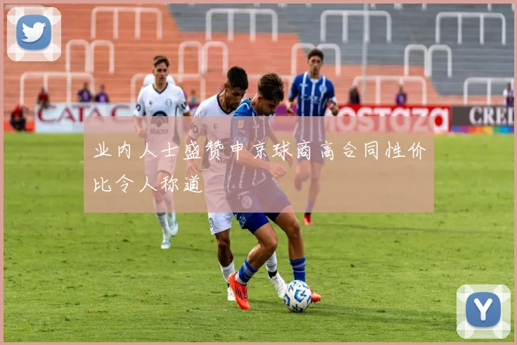 业内人士盛赞申京球商高合同性价比令人称道